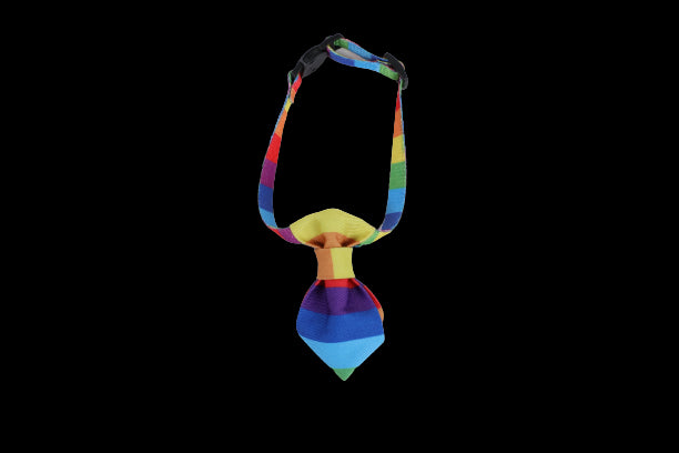 Miniso Rainbow Series Pet Decoration(Bow Tie)